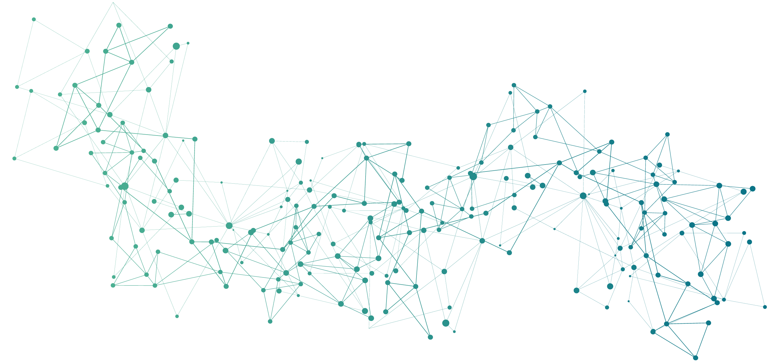 IANUS Simulation Netz, Netzwerk